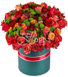 roses and chrysanthemums in a box